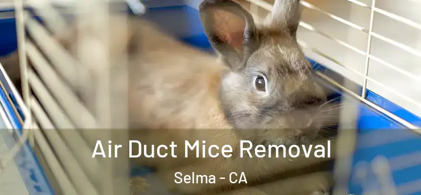 Air Duct Mice Removal Selma - CA