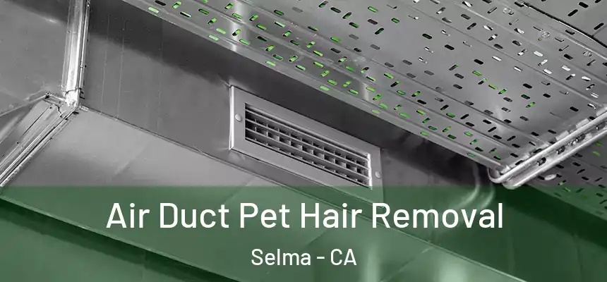 Air Duct Pet Hair Removal Selma - CA