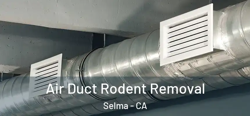 Air Duct Rodent Removal Selma - CA