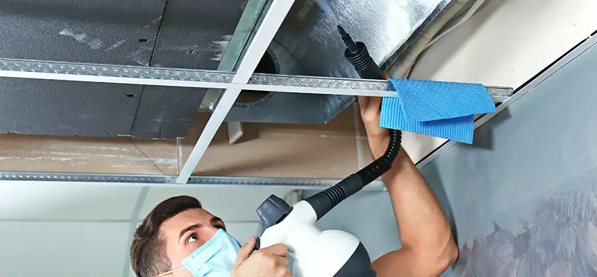 Our Air Duct Rodent Removal Services in Selma, CA