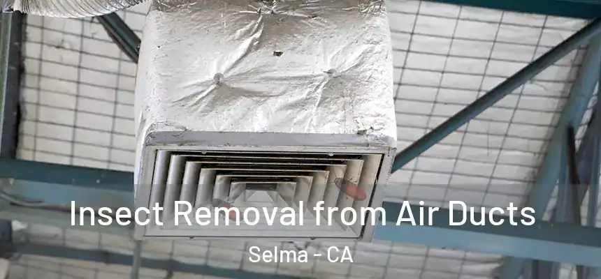  Insect Removal from Air Ducts Selma - CA