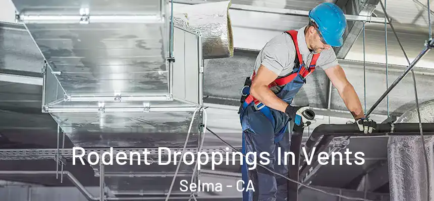 Rodent Droppings In Vents Selma - CA