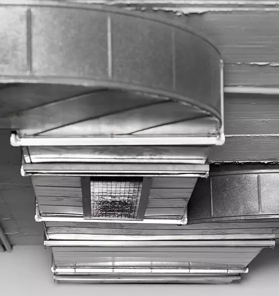 Professional Air Duct Pest Removal in Selma, CA