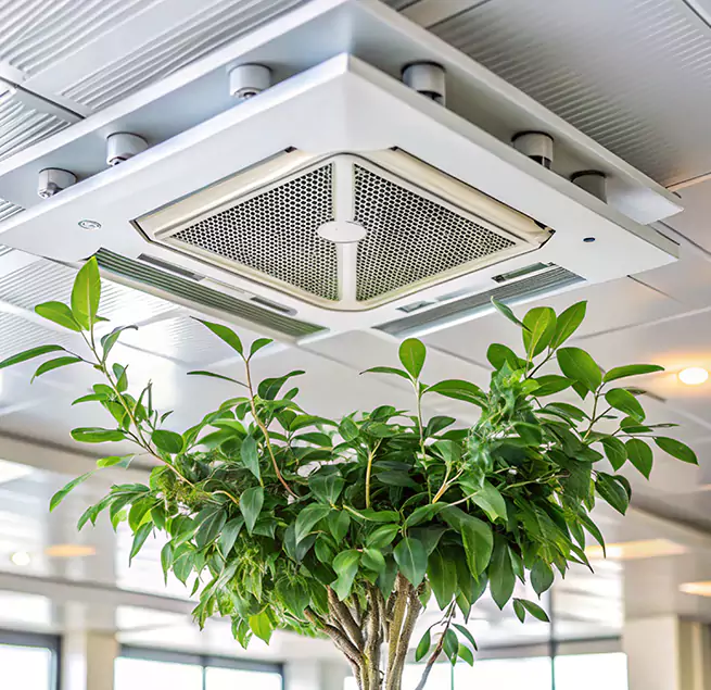 Why Homeowners & Businesses Trust Us in Selma, CA?